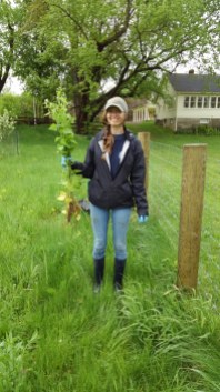 Alyssa shows off a vigorous garlic mustard plant at Cranberry Lake Park